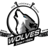 HC Wolves Český Těšín